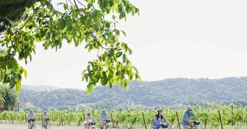 Napa Valley Guided Winery E-Bike Tour