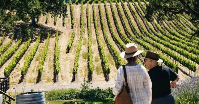 Napa & Sonoma Wine Tour from San Francisco