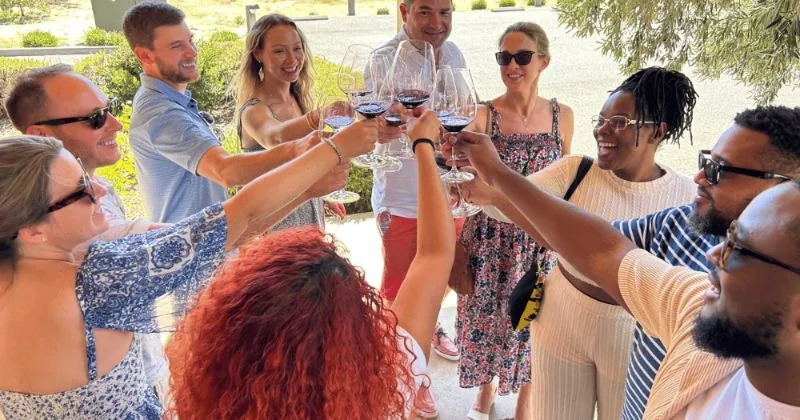 Napa Valley Guided Wine Tour with Picnic Lunch
