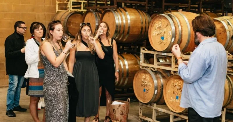 Napa & Sonoma Full-Day Wine Tour
